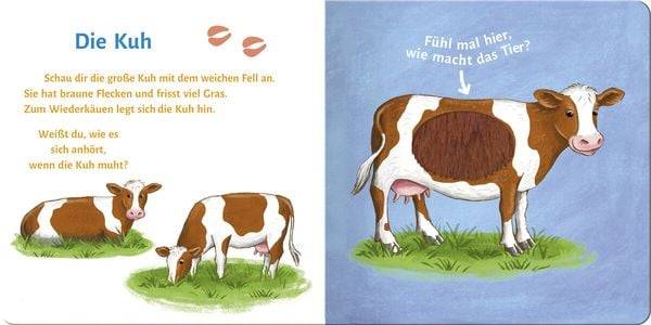 Sound- und Fühlbuch Bauernhof (mit 6 Sound- und Fühlelementen)