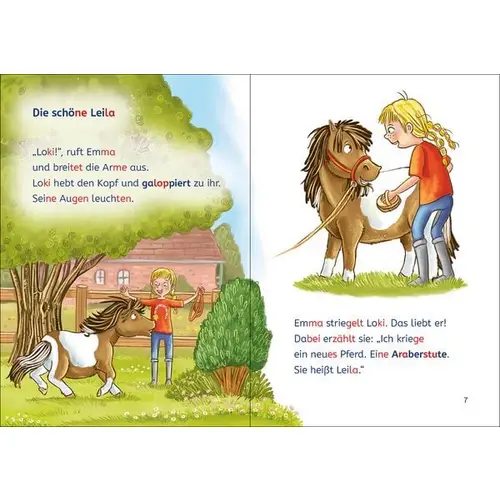 Leselöwen 1. Klasse - Eine ponystarke Freundschaft Leselöwen 1. Klasse - Eine ponystarke Freundschaft
