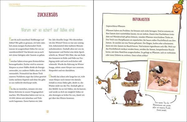 So ernähren wir uns richtig - Das Einmaleins des Essens