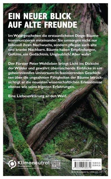 Das geheime Leben der Bäume