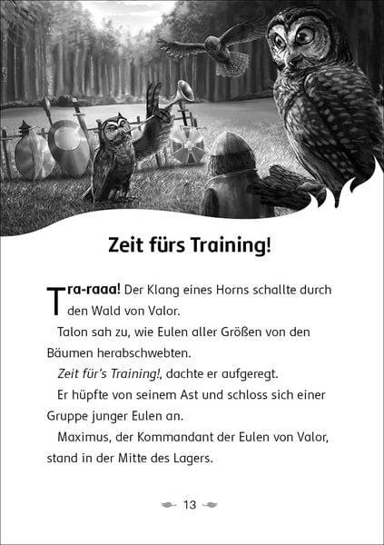 Der letzte Feuerfalke und der Stein der Macht (Band 1)