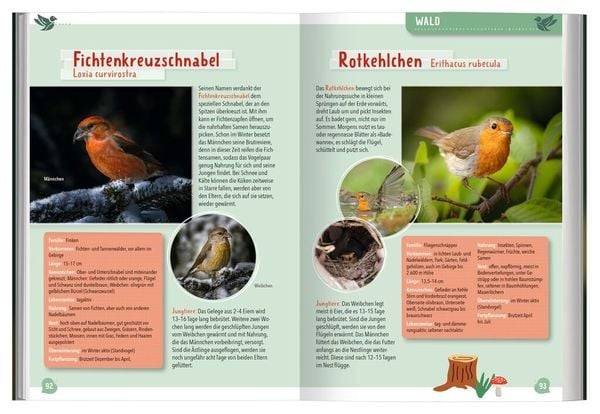 Mein großer Naturführer Tiere & Pflanzen