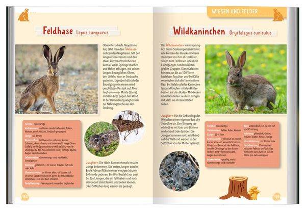 Mein großer Naturführer Tiere & Pflanzen