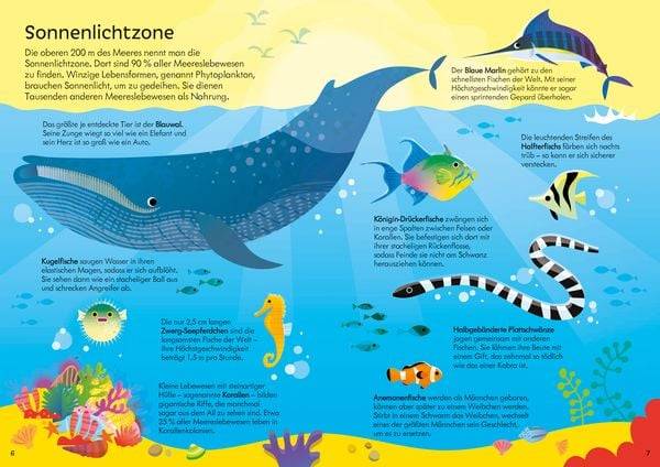 Puzzle & Buch: Tiere im Ozean