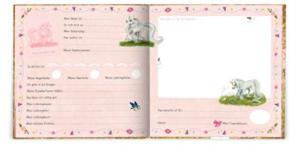 Kleines Einhorn Funkelstern. Meine Kindergarten-Freunde