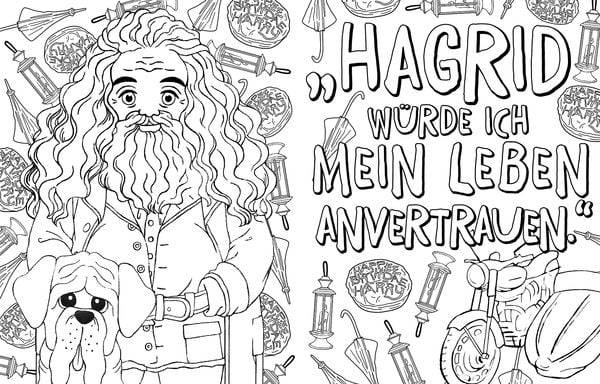 Aus den Filmen zu Harry Potter: Zauberhaftes Malbuch