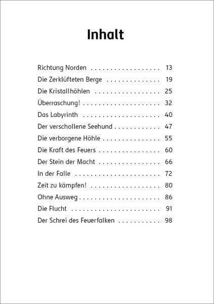 Der letzte Feuerfalke und die Kristallhöhlen (Band 2)