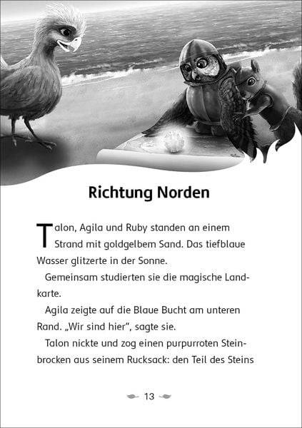 Der letzte Feuerfalke und die Kristallhöhlen (Band 2)