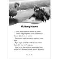 Der letzte Feuerfalke und die Kristallhöhlen (Band 2) Der letzte Feuerfalke und die Kristallhöhlen (Band 2)
