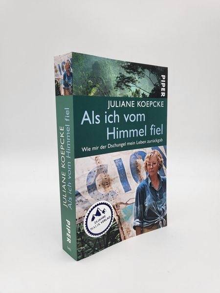 Als ich vom Himmel fiel