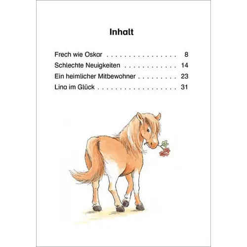 Leselöwen 1. Klasse - Das neue Pferd in der Reitschule Leselöwen 1. Klasse - Das neue Pferd in der Reitschule