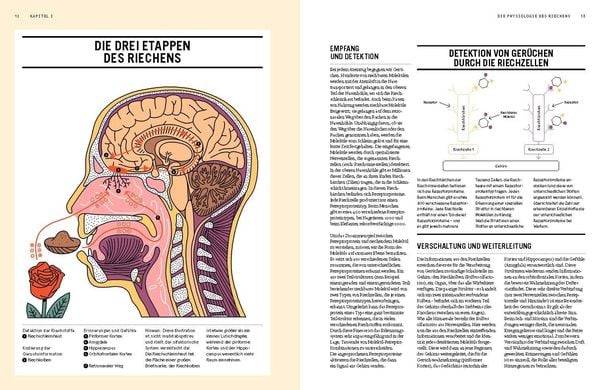 PARFUM: Alles über die Welt der Düfte