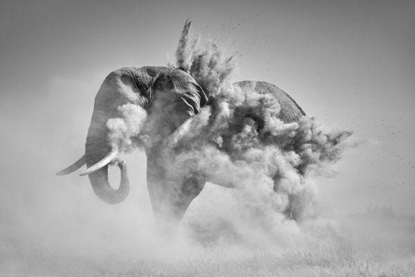 KUNTH Bildband Wild und frei