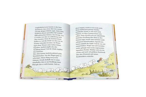 Snöfrid aus dem Wiesental (5). Der wahrlich wildbewegte Flug im Luftschiff