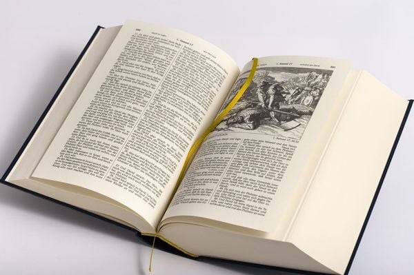Die Bibel - Altes und Neues Testament (Cabra-Leder-Ausgabe)