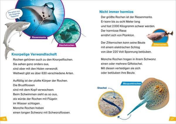 WAS IST WAS Erstes Lesen Band 16. Haie