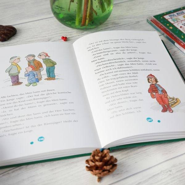 Das Sams 11. Das Sams und die große Weihnachtssuche