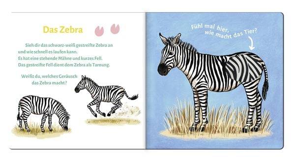 Sound- und Fühlbuch Tiere der Wildnis (mit 6 Sound- und Fühlelementen)