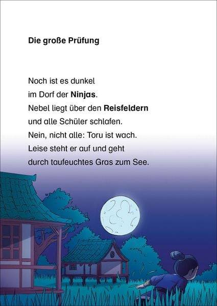 Leselöwen 2. Klasse - Die große Ninja-Prüfung