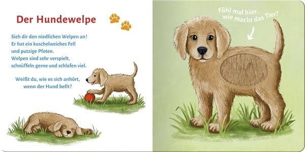 Sound- und Fühlbuch Tierkinder (mit 6 Sound- und Fühlelementen)
