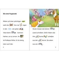 Bildermaus - Geschichten aus der Einhornschule Bildermaus - Geschichten aus der Einhornschule