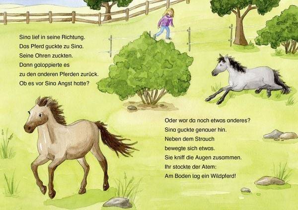 Leselöwen 2. Klasse - Das verletzte Wildpferd