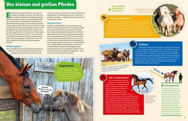 Pferde und Ponys