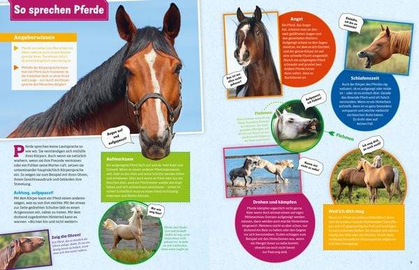Pferde und Ponys