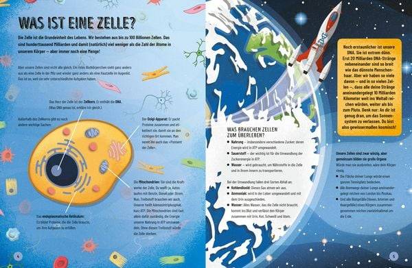 Eine kurze Geschichte des menschlichen Körpers - Eine atemberaubende Reise von der Nasenspitze bis zum großen Zeh