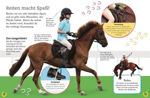 Pferde und Ponys