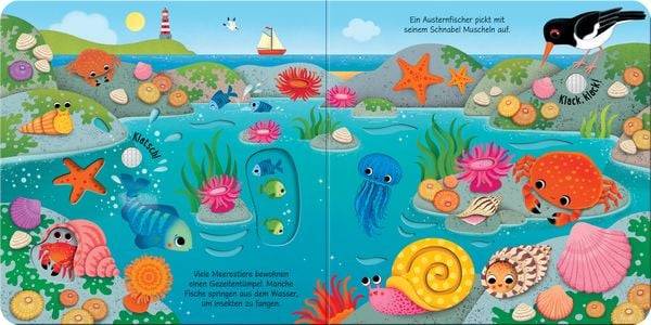Klänge der Natur: Was hörst du am Meer?