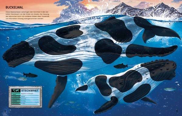 Der große Stickerspaß: Meerestiere