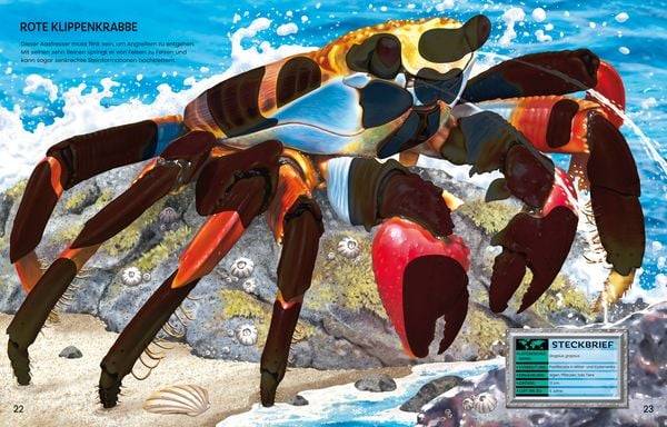 Der große Stickerspaß: Meerestiere