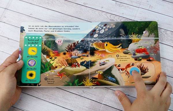 Guck mal, schieb mal! Suche und entdecke - Im Meer