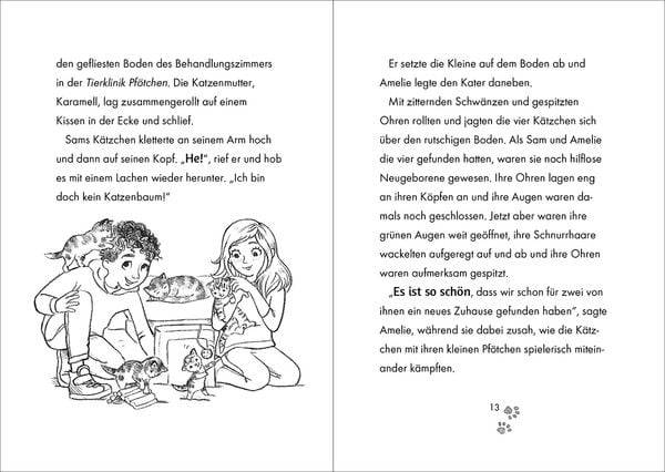 Tierklinik Pfötchen (Band 3) - Kleiner Fuchs in Not