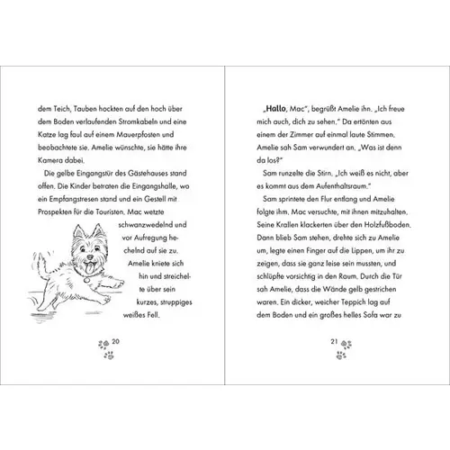 Tierklinik Pfötchen (Band 3) - Kleiner Fuchs in Not Tierklinik Pfötchen (Band 3) - Kleiner Fuchs in Not