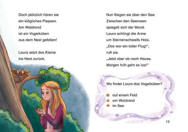 Sternenschweif, Bücherhelden 1. Klasse, Ferien auf dem Reiterhof
