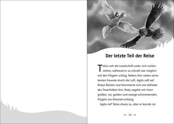 Der letzte Feuerfalke und das Schattenland (Band 5)