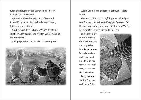 Der letzte Feuerfalke und das Schattenland (Band 5)