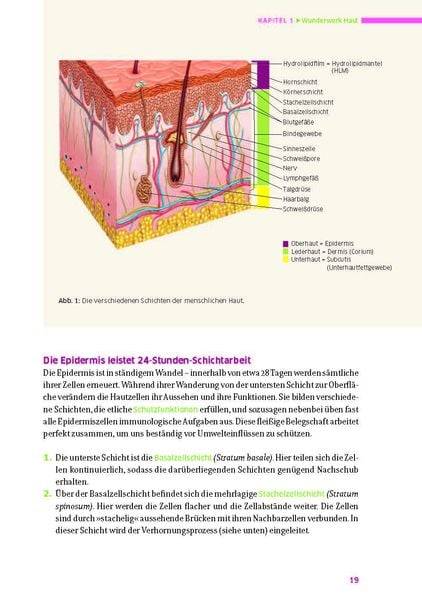 Das große Buch für die gesunde Haut