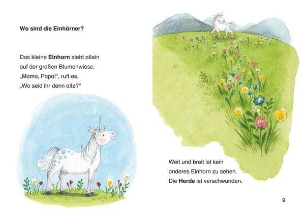 Leselöwen 1. Klasse - Ein Stern für das kleine Einhorn