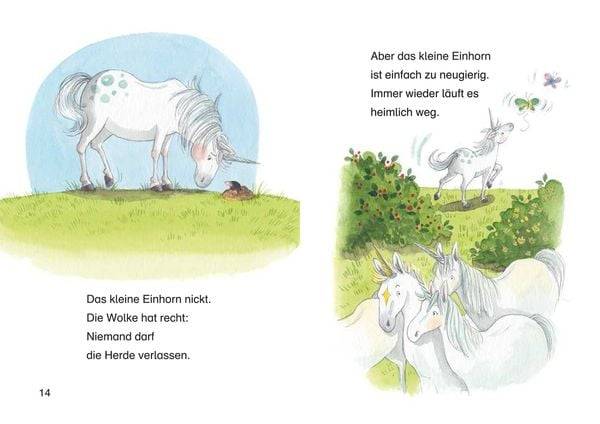 Leselöwen 1. Klasse - Ein Stern für das kleine Einhorn