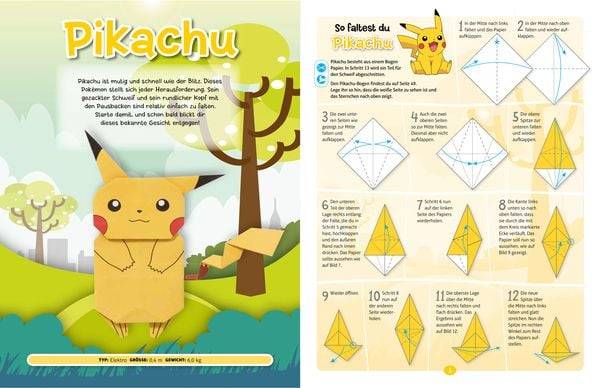 Pokémon: Origami - Falte Dein eigenes Pokémon
