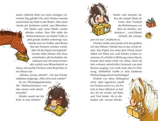 Die Haferhorde - Advent, Advent, ein Pony rennt!