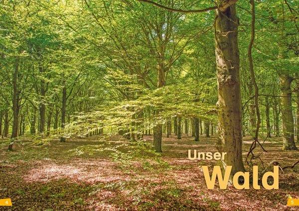 WAS IST WAS Erstes Lesen Band 6. Wald