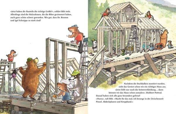 Dr. Brumm: Dr. Brumm baut ein Haus