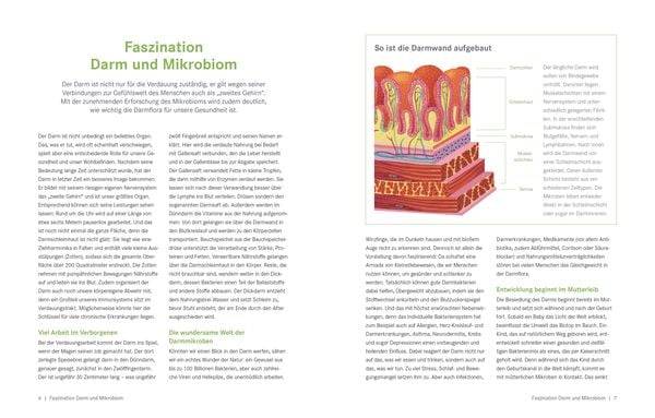 Die Ernährungs-Docs - Gesund abnehmen mit der Darm-fit-Formel