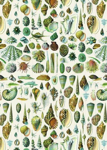 Natural History - Labels, Stickers & Tape