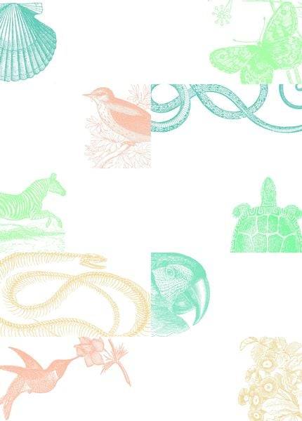 Natural History - Labels, Stickers & Tape