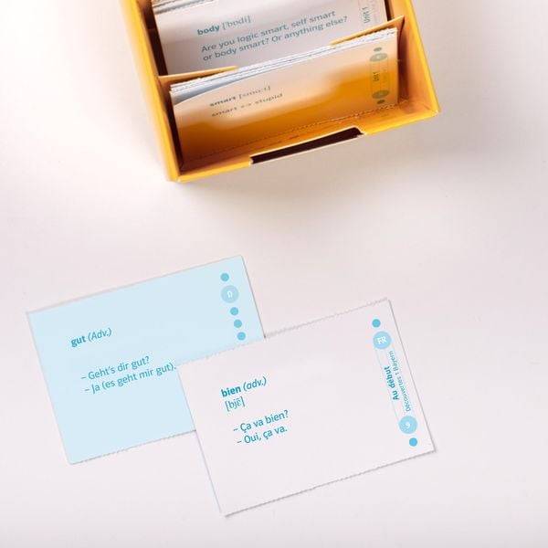 Découvertes 1 Bayern (ab 2017) - Vokabel-Lernbox zum Schulbuch 1. Lernjahr